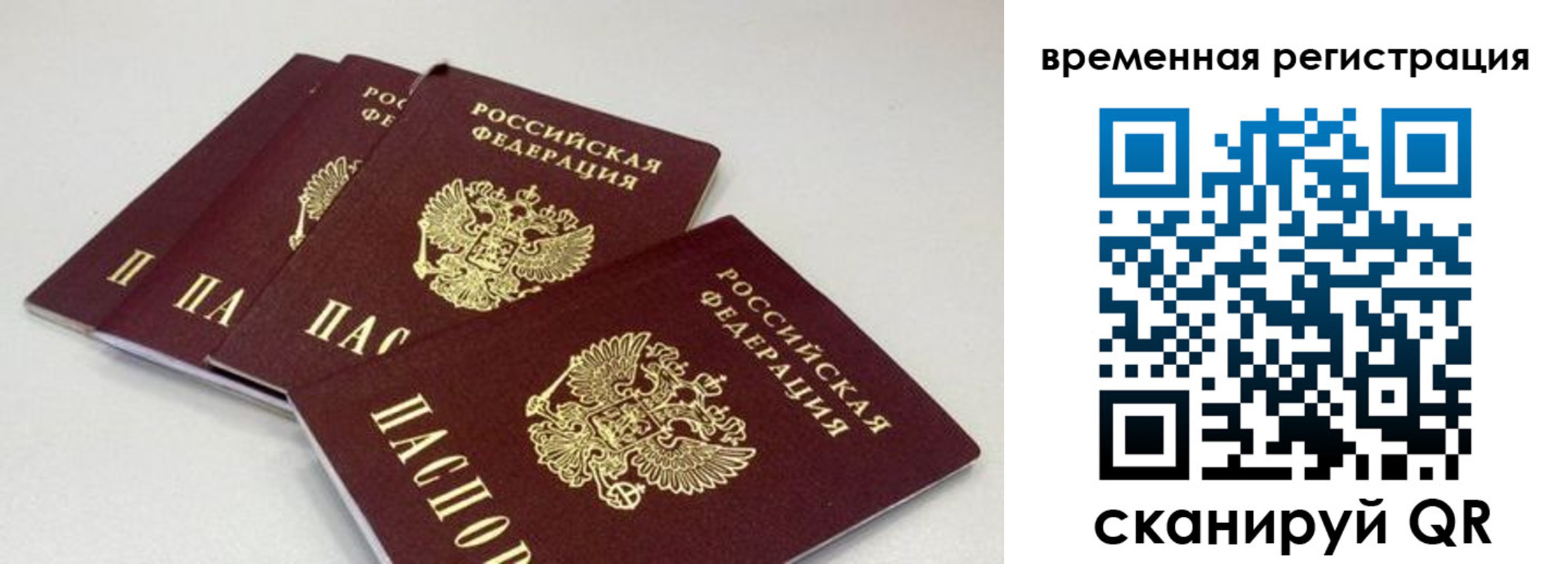 временная регистрация собственник в Ельне