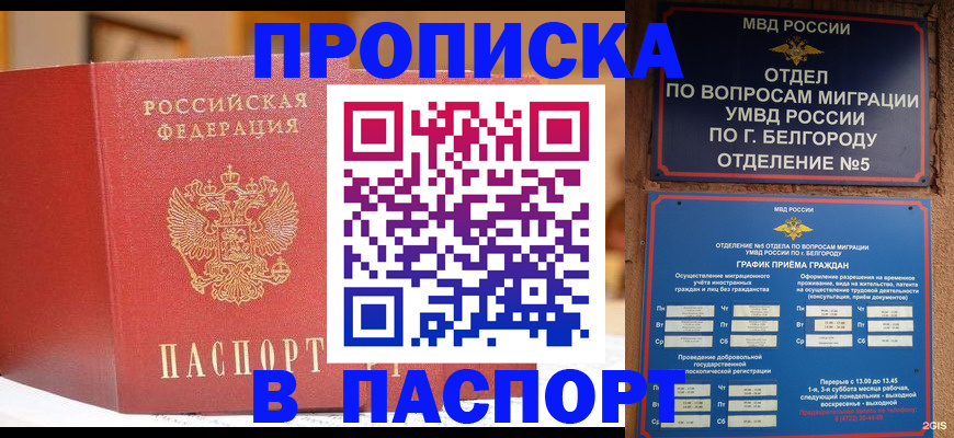 временная регистрация в квартире в Ельне
